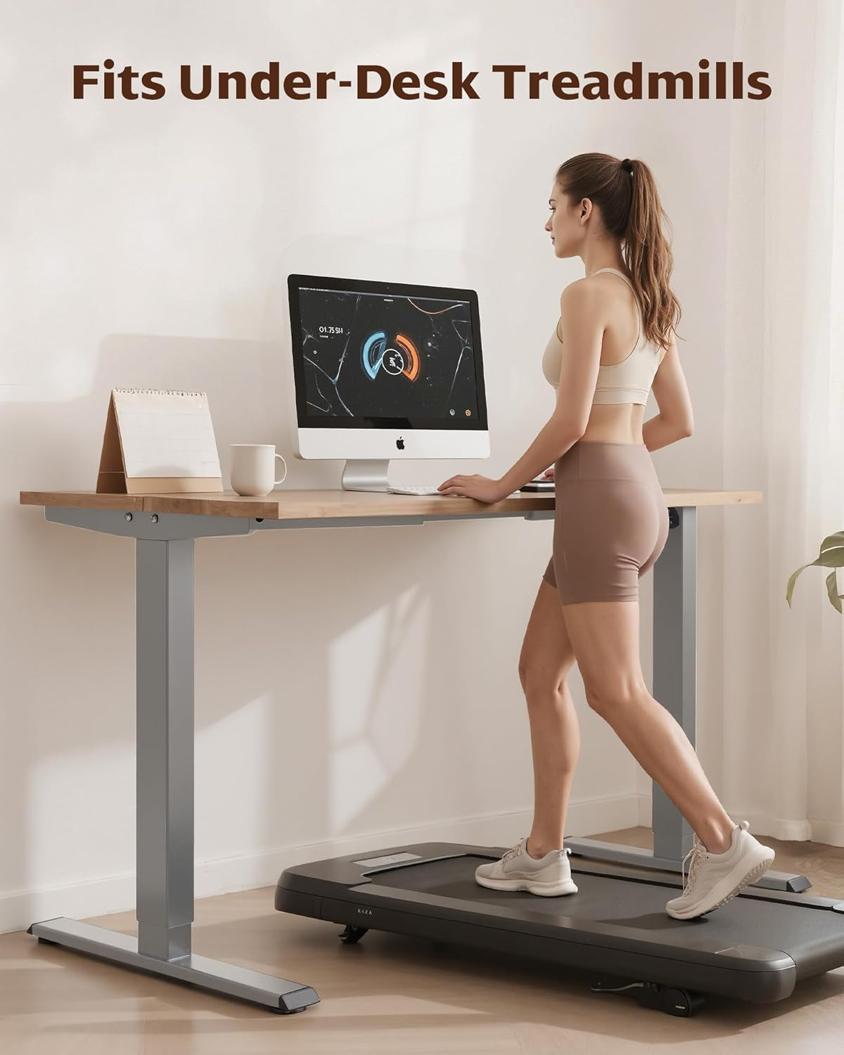 Dual Motor Electric Adjustable Standing Computer Desk for Home and Office (Grey)